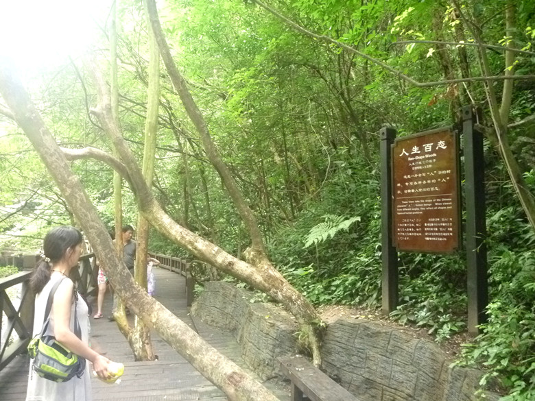 p1120726_.jpg