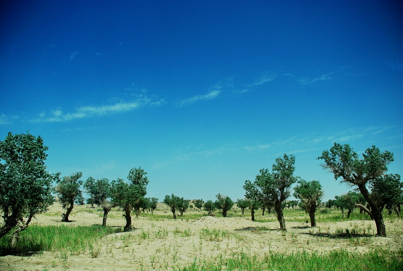 dsc_2272.jpg
