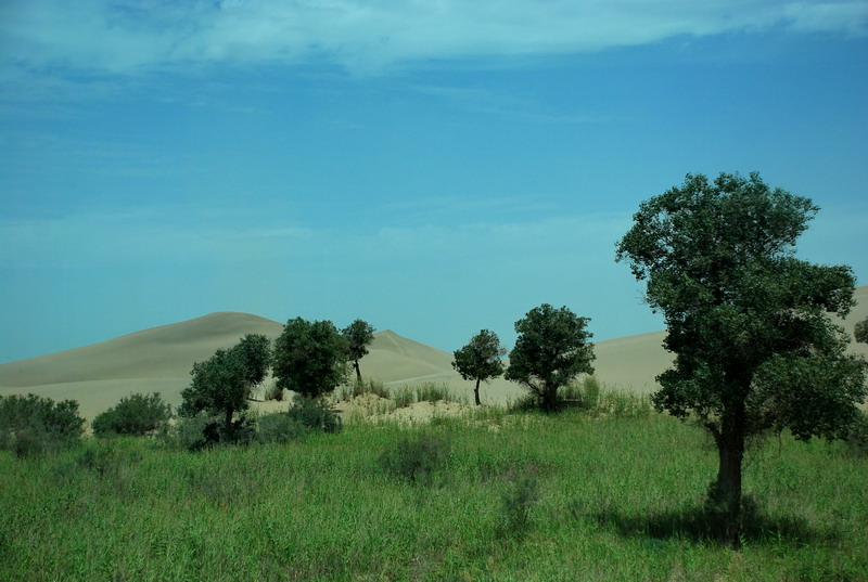 dsc_2307.jpg