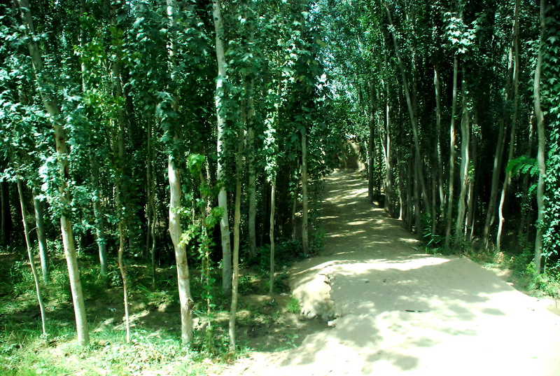 dsc_2341.jpg