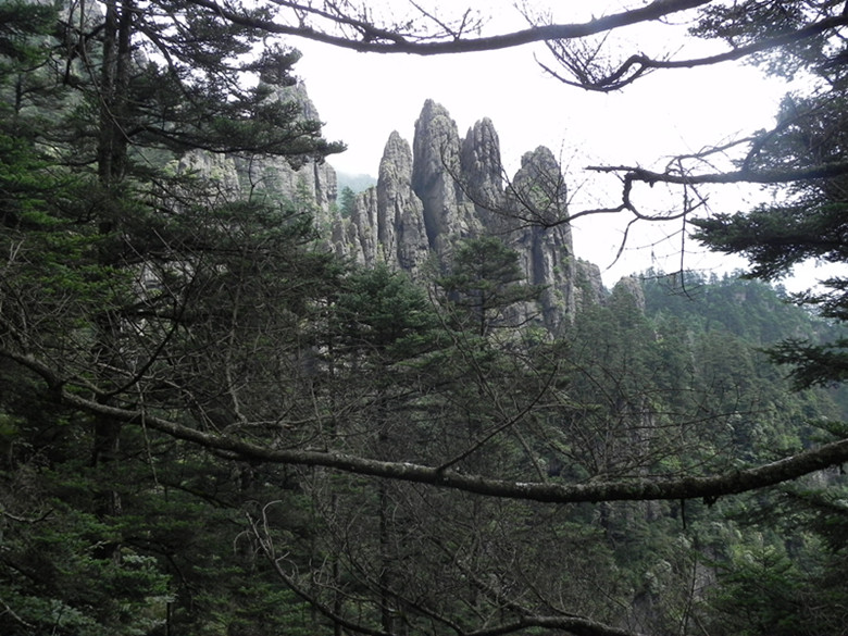 dscn0718_.jpg