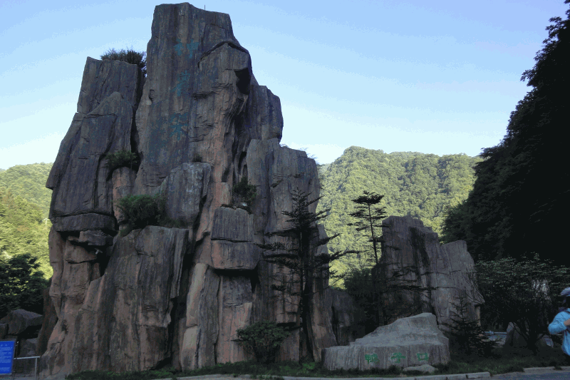 dsc00047.gif