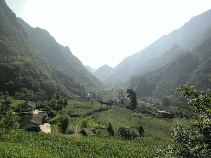 dsc00051.gif