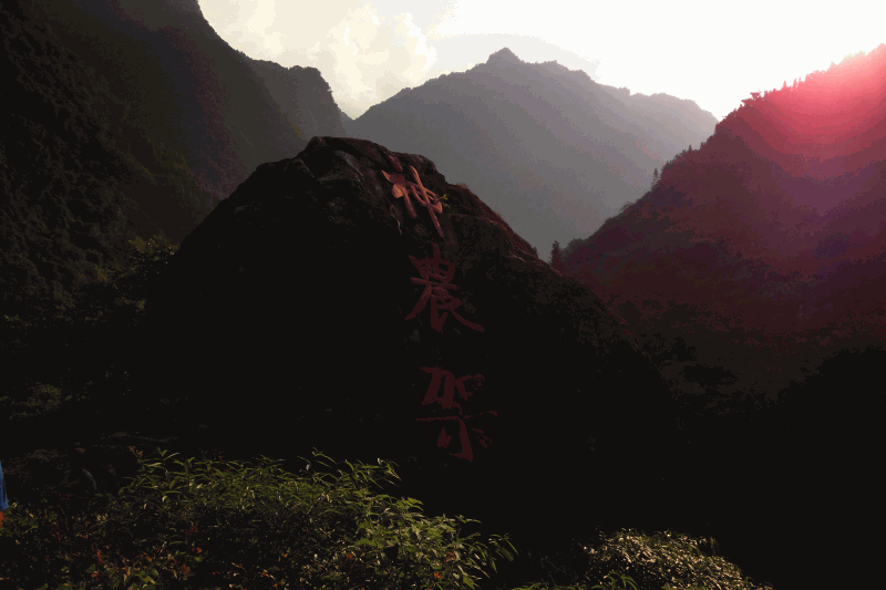 dsc00044.gif