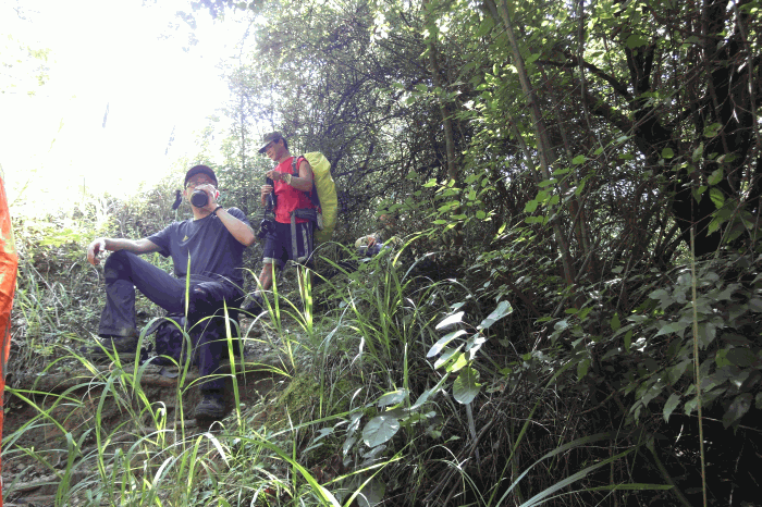dsc00060.gif