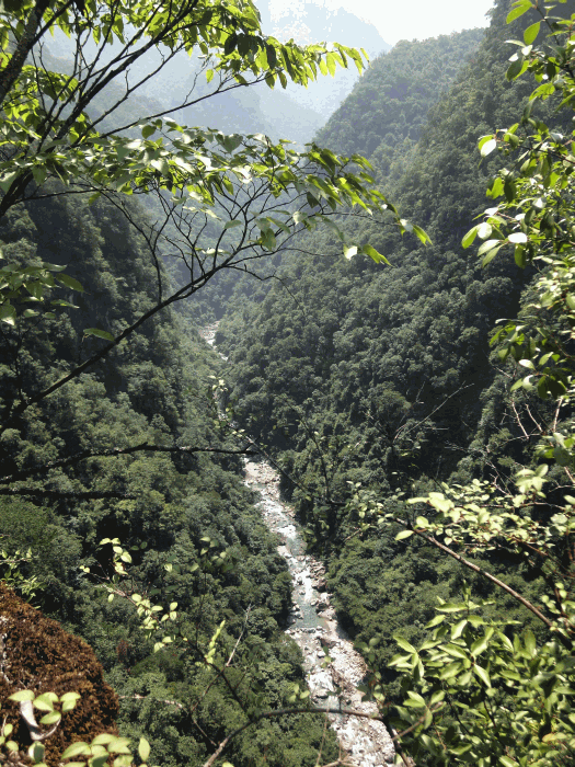 dsc00061.gif