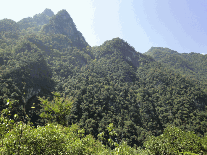 dsc00064.gif