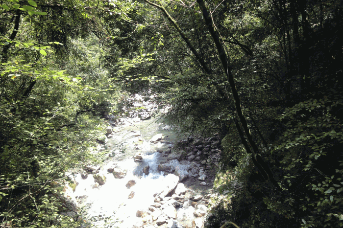 dsc00071.gif
