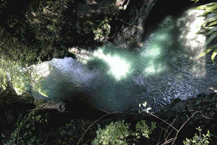 dsc00072.gif