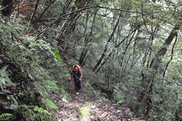 dsc00076.gif