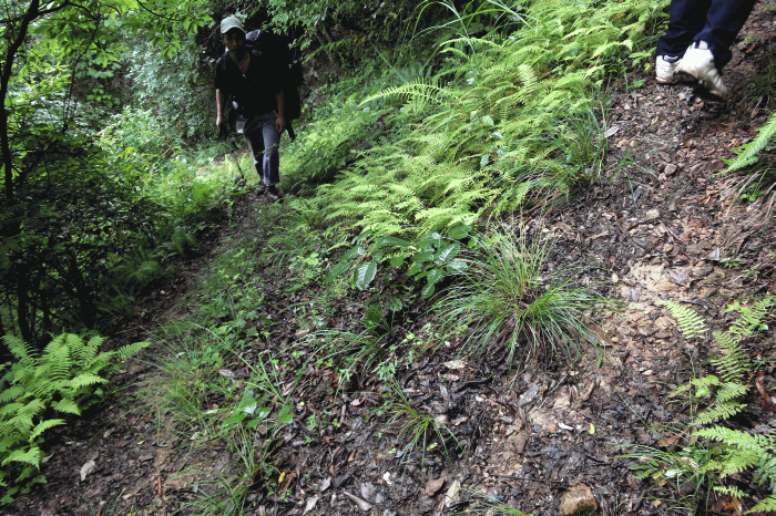 dsc00093.gif