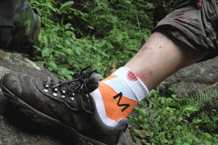 dsc00074.gif