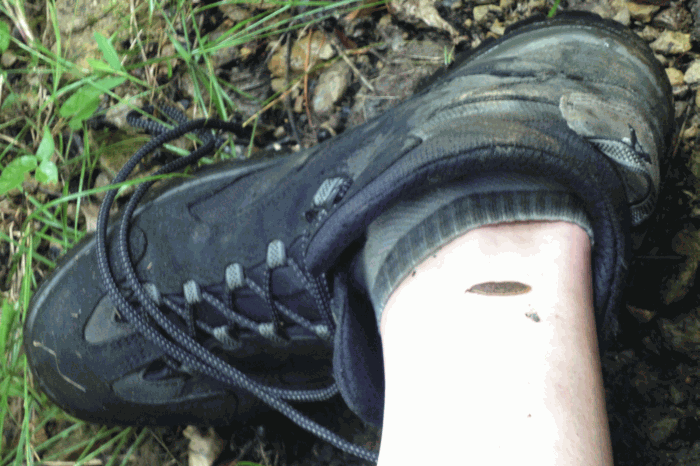 dsc00088.gif