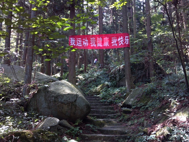2012-08-02_10-12-11_419.jpg