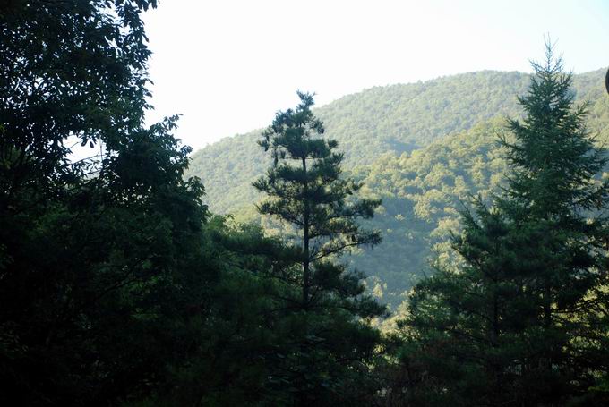 С dsc_0018.jpg