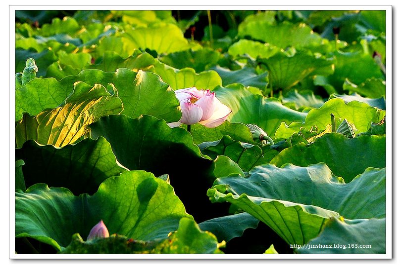neo_img_dsc_5029.jpg