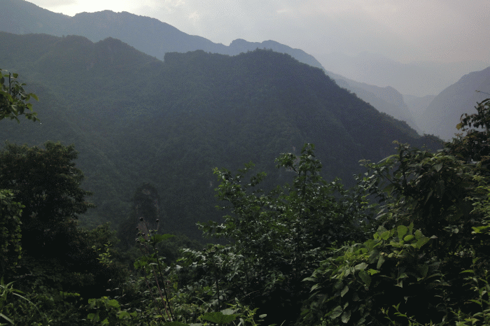 dsc00098.gif