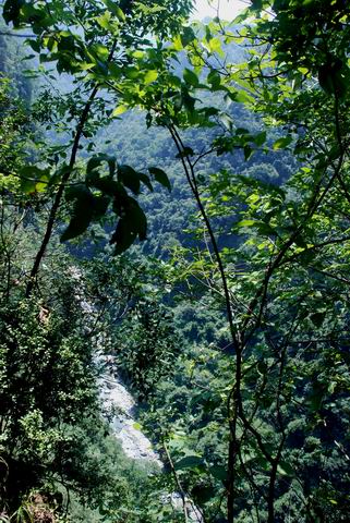 С dsc_0072.jpg