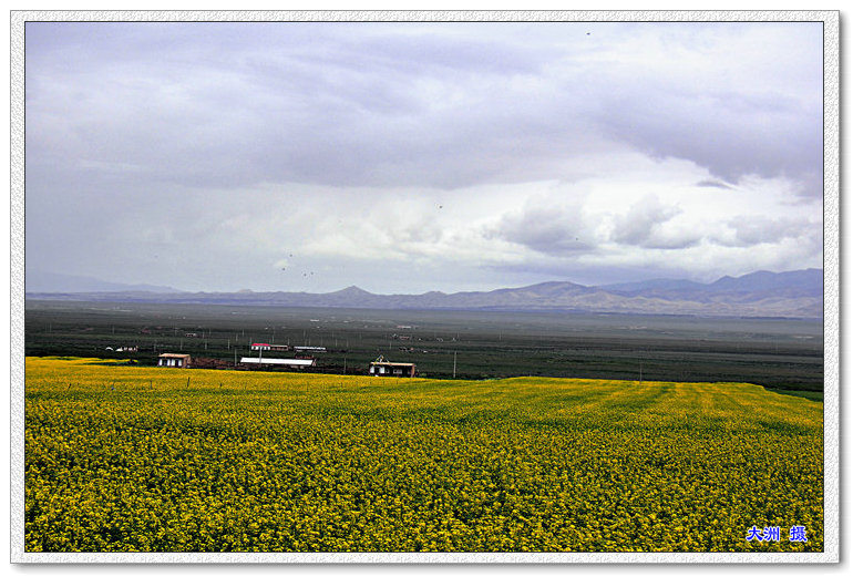 dsc_0480.jpg