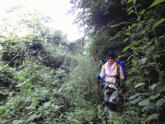 dsc00125.gif