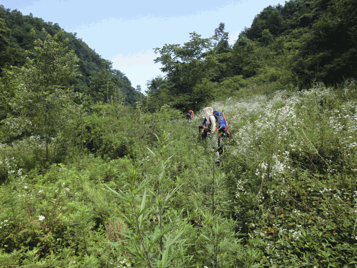 dsc00126.gif