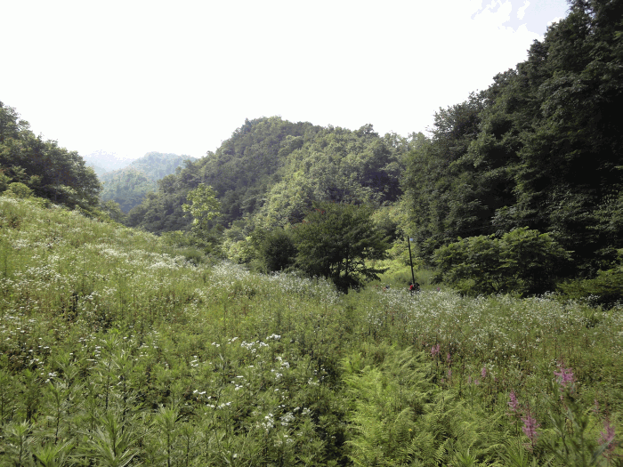 dsc00128.gif