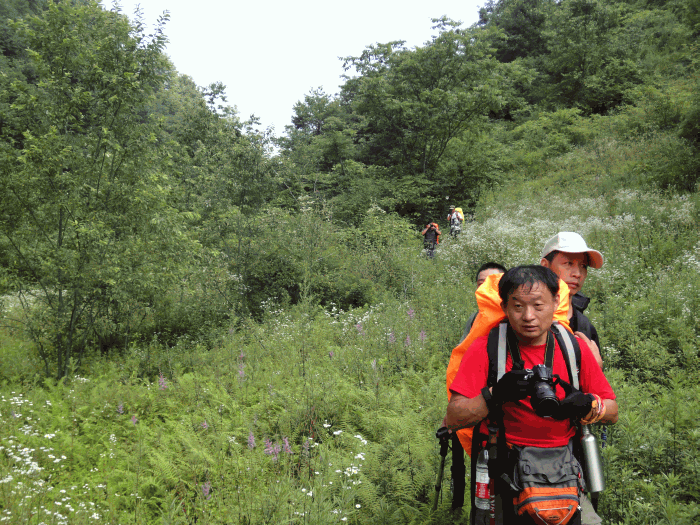dsc00131.gif