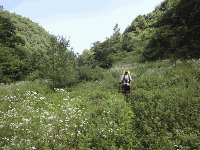 dsc00135.gif