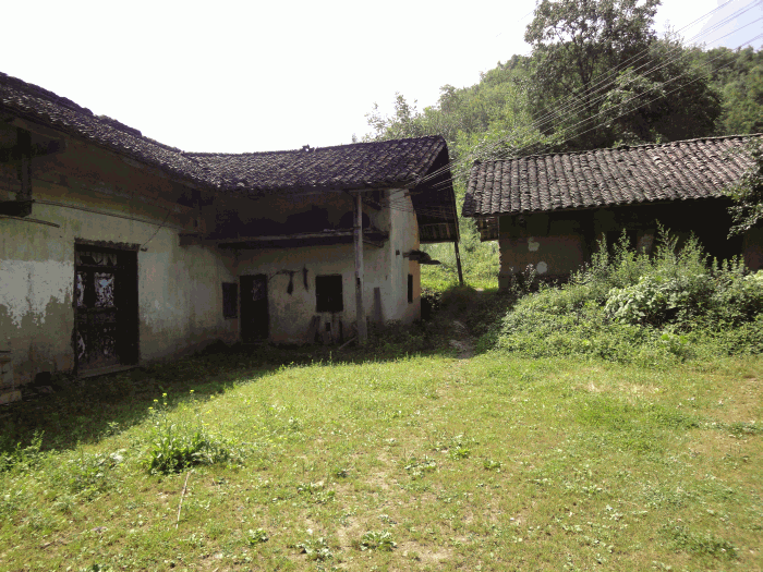 dsc00143.gif