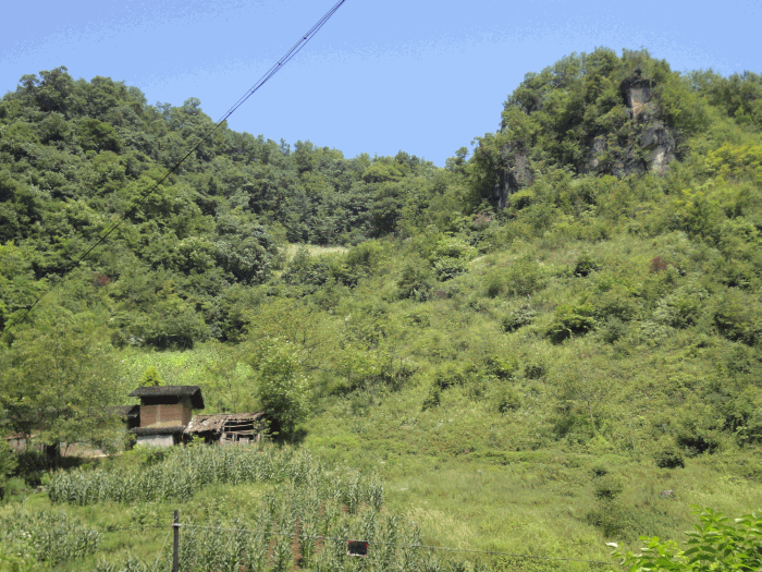 dsc00145.gif