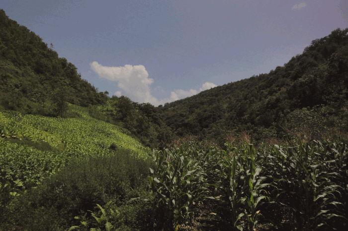 dsc00150.gif