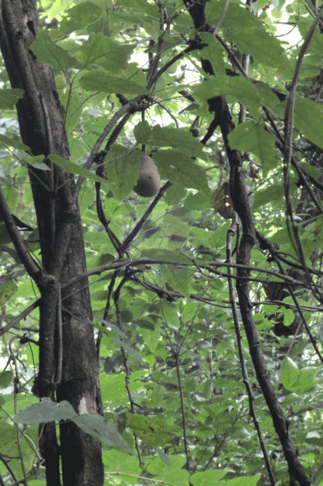 dsc00164.gif
