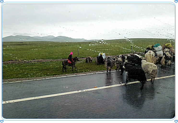 p1020209.jpg