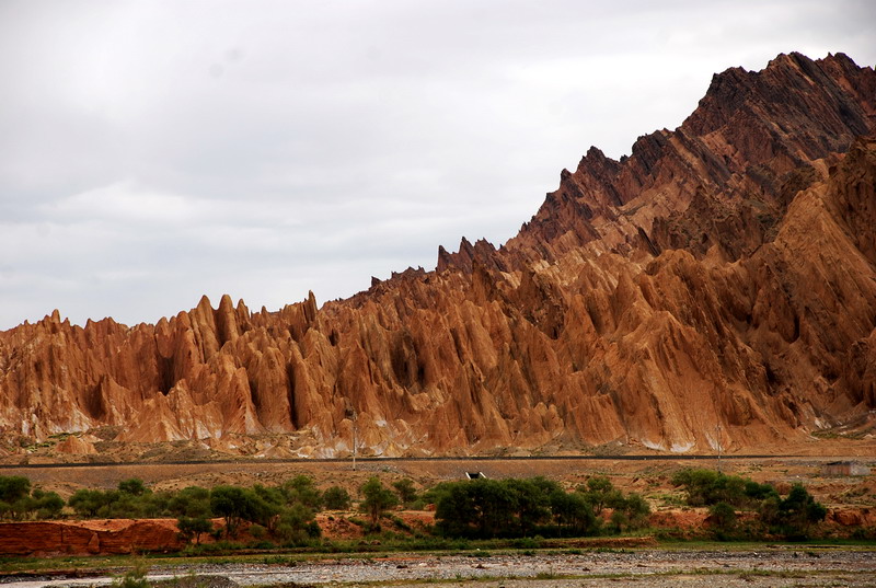 dsc_4597.jpg