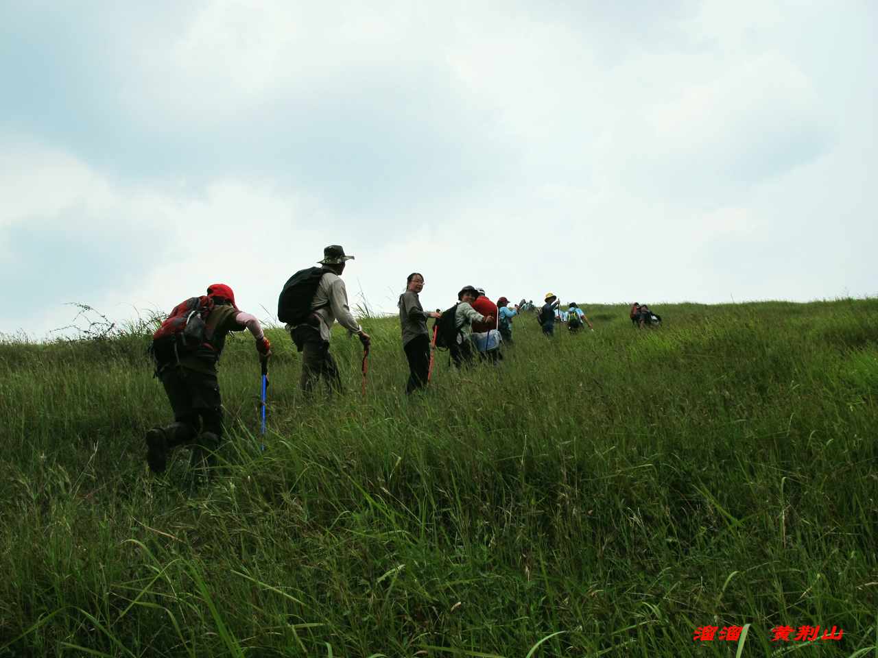 9y 077.jpg
