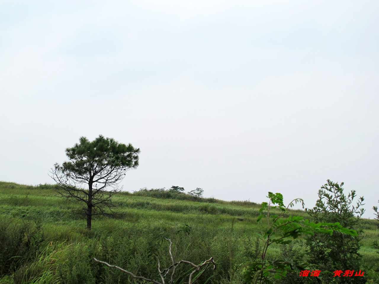 9y 106.jpg