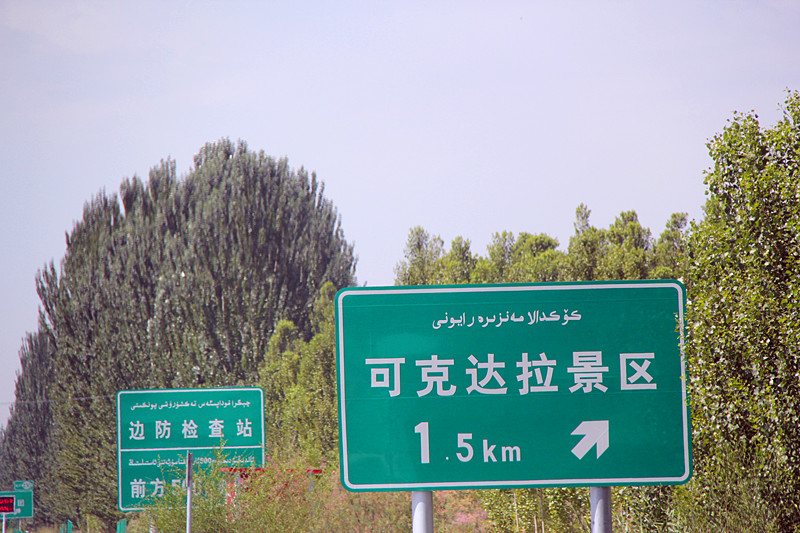 55.jpg