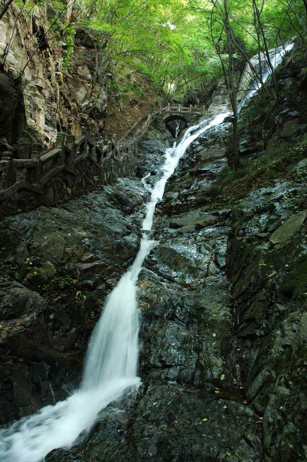 dsc_6612.jpg