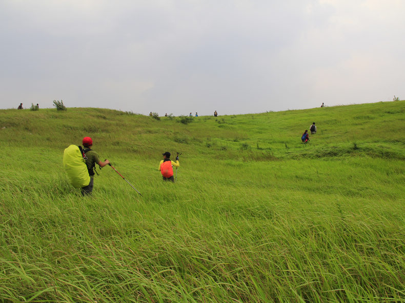 Ƭ 080.jpg