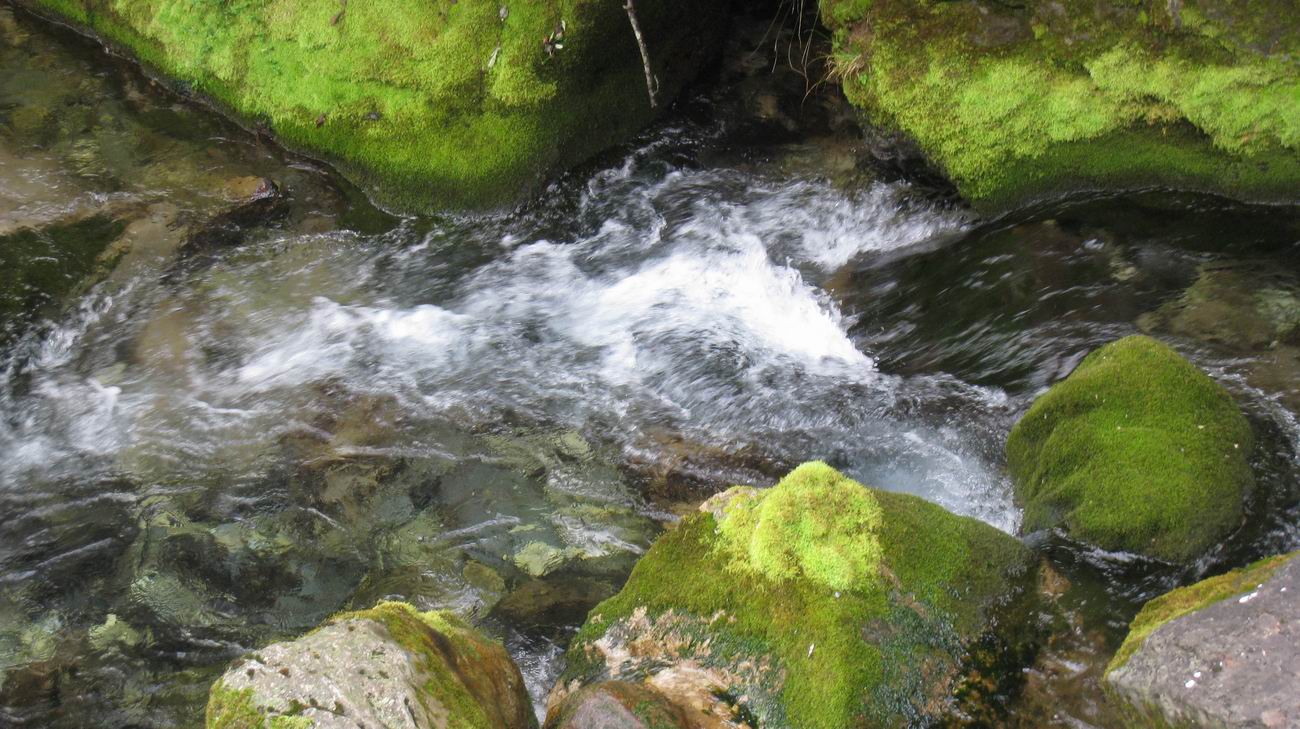 С ũ 094.jpg