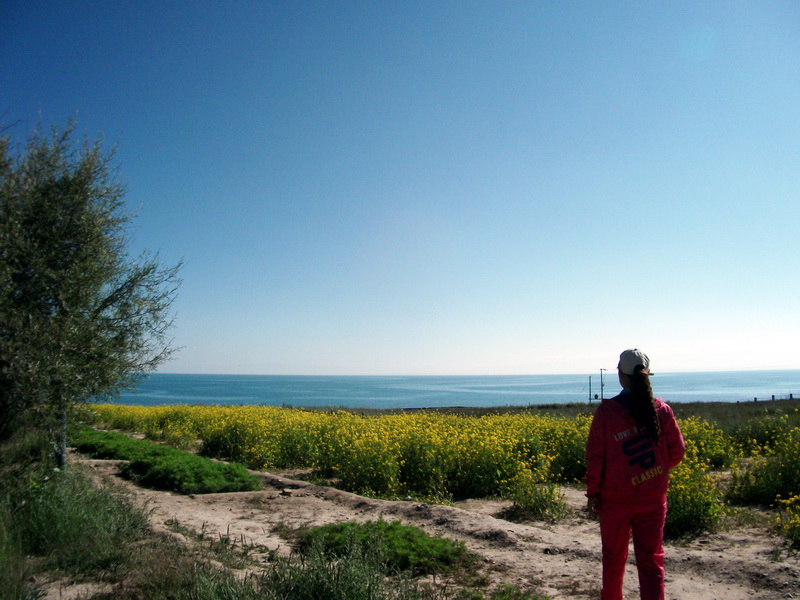 dscf0176.jpg