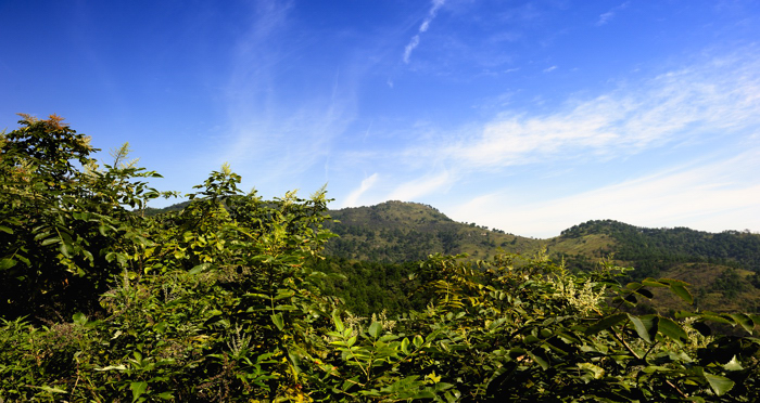 _dsc5168.jpg