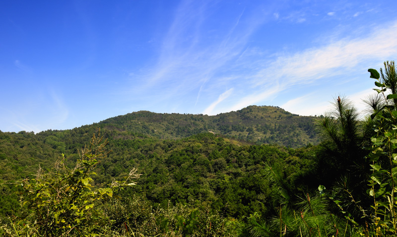 _dsc5174.jpg