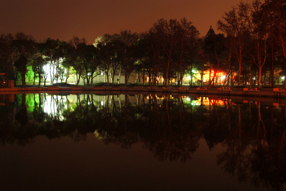 dsc_9380.jpg