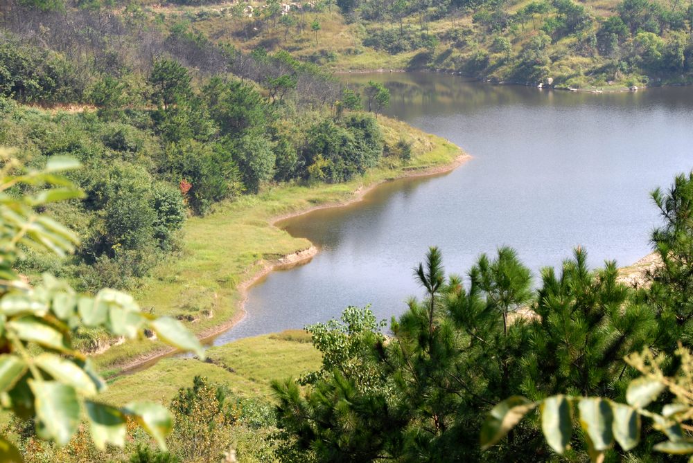dsc_0255.jpg