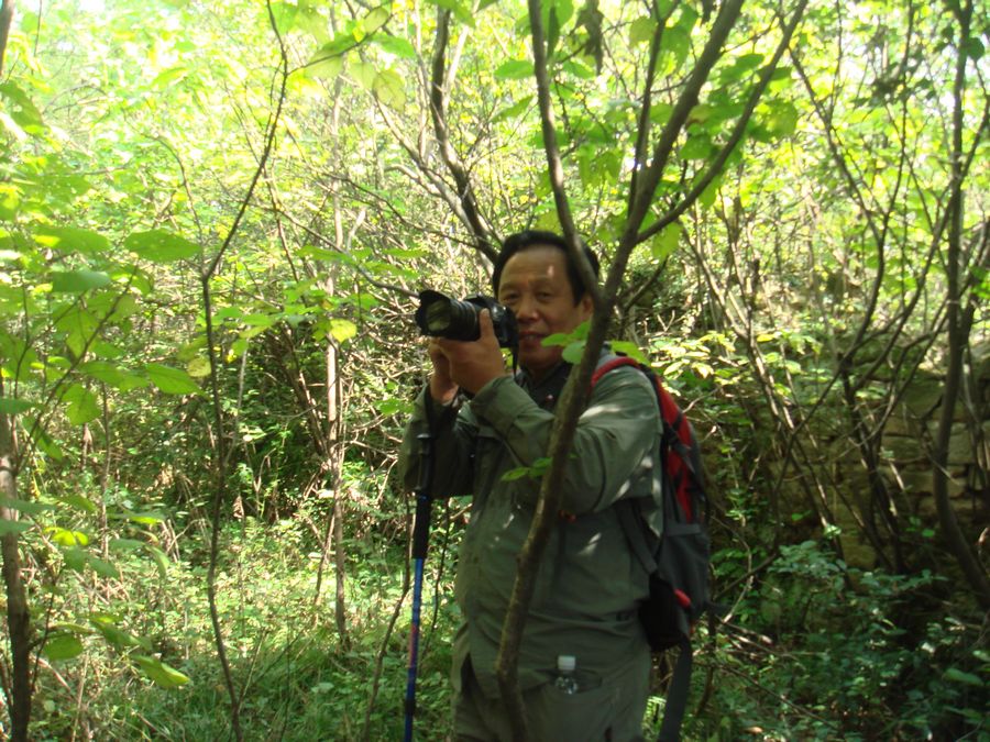 dsc00713.jpg