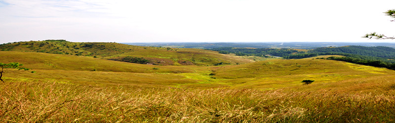 dsc_0259_.jpg