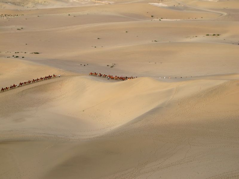 ػ-- 793a.jpg