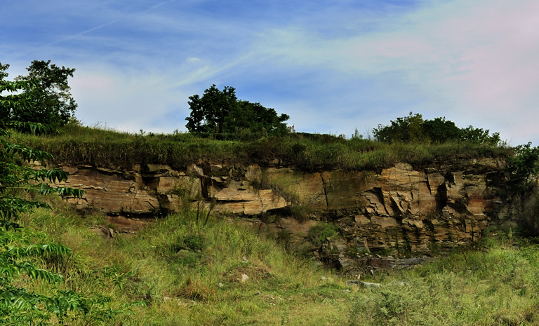 _dsc5373.jpg