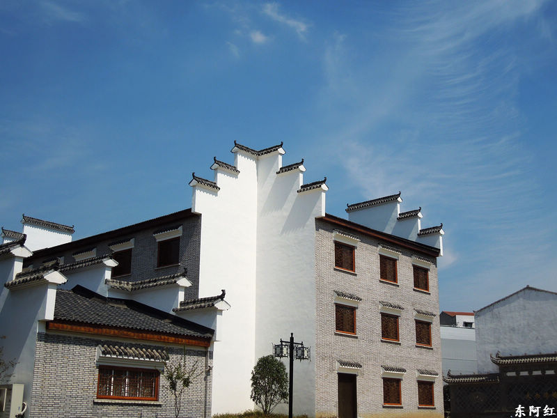 dscn2263.jpg